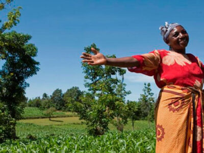 Lorem ipsum dolor sit amet, consectetur adipiscing elit, sed do eiusmod tempor incididunt ut labore et dolore magna aliqua