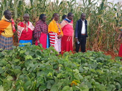 inspiring-stories-02